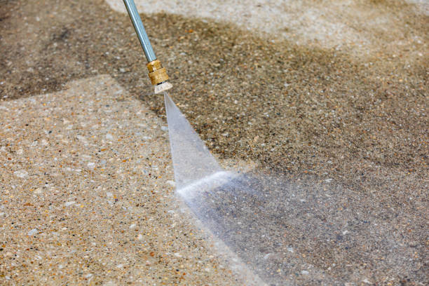 Best Pre-Holiday Cleaning  in Pomona, NY
